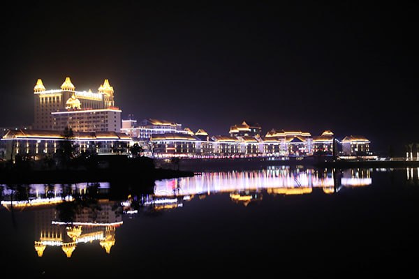 美丽月见草：从外观到生长习性全面了解